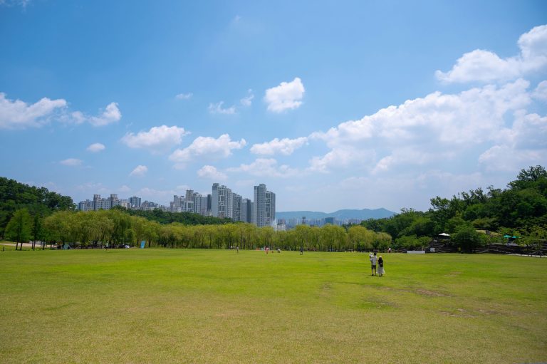 다낭 몽고메리 골프장 4 1 768x511
